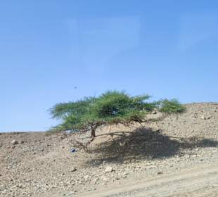 Quad Tour Marsa Alam