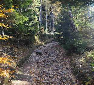 Riesengebirge/Karkonosze