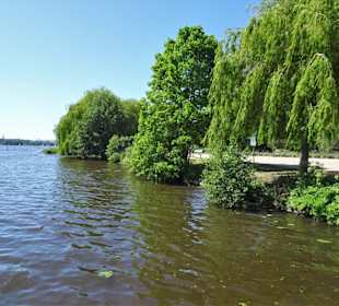 Am Ufer der Außenalster