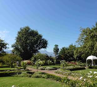 Weingebiet Stellenbosch