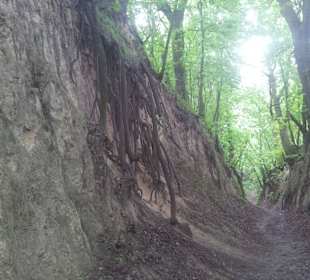 Wąwóz Świętej Królowej Jadwigi