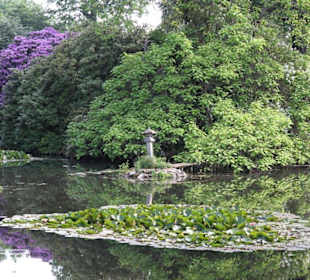 Der See