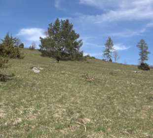 Premiumspazierwanderweg - Hochgehhütet