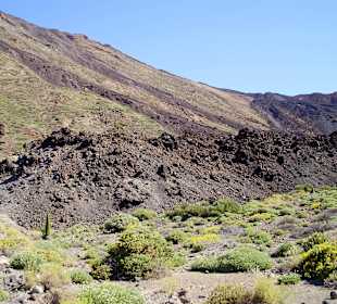 Unterhalb vom Teide