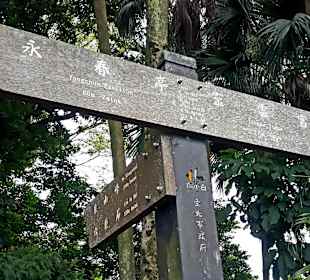 Elephant Mountain Xiangshan Hiking Trail