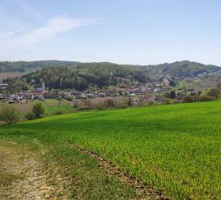 Feldweg nach Kukmirn