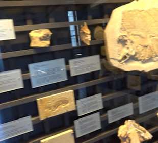 Jura-Museum