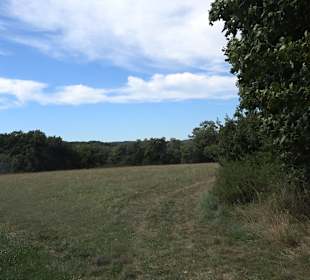 Wandertour Greifensteinrunde