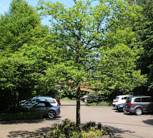 Restaurant Wittekindsquelle, Bergkirchen