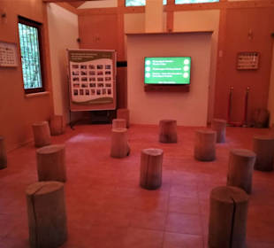 Kleines Kino