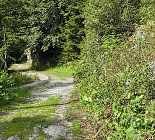 Italy Plöcken Wanderung