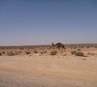 Auf dem Weg in die Sahara