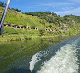Wandern Burg (Mosel)