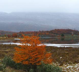 Parque Nacional Tierra del Fuego