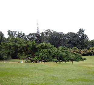 Kandy