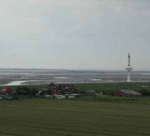 Ausblick vom Neuwerker Leuchtturm