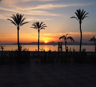 Strand bei Hotel Pinero Bahia de Palma