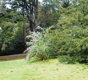 Stadtpark Bochum
