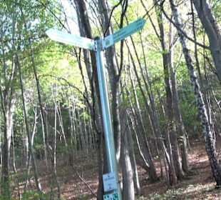 Premiumwanderweg hochgehkeltert Neuffen