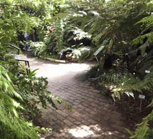 Botanischer Garten der Universität Zürich