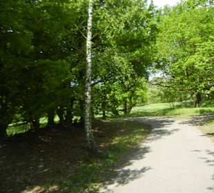 Naturschutzgebiet Boberger Niederung