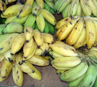 Rundgang über den Marché forain du Front de Mer