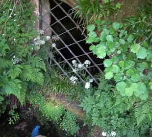 Wanderung Klosterquelle Klosterreichenbach