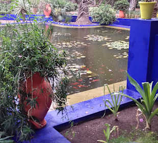 Garten Majorelle