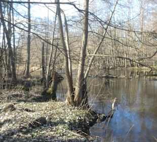 Bei einem Spaziergang am Sennfelder Seenkranz