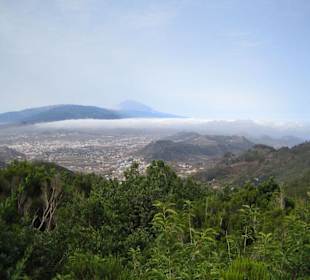 Mercedeswald (Mirador)