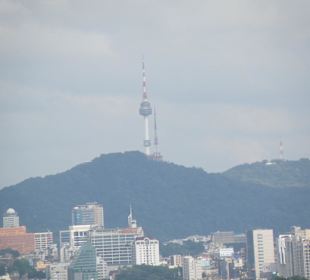Vista su Seoul Tower