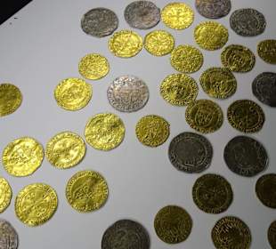 Exponate des Salzburg Museums