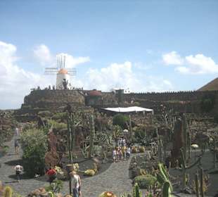 Ein erster Überblick