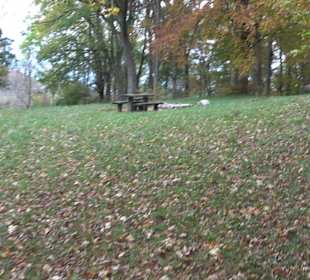 Grillstelle Untere Diepoldsburg