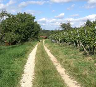 Hochgehnießen - Premiumspazierwanderweg