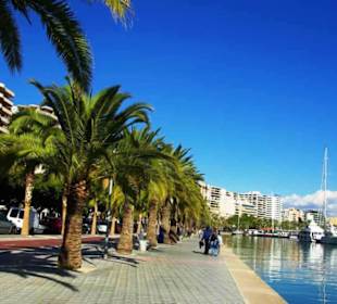 Tolle Promenade am Hafen
