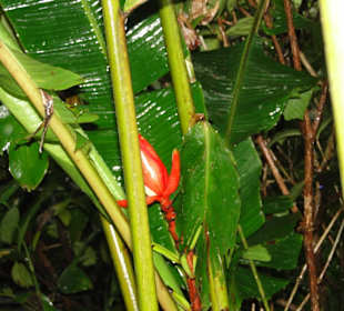 Ausflug Wildfife Expeditions