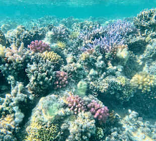 Schnorcheln Marsa Alam