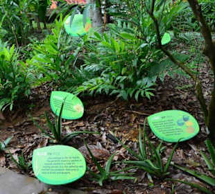 Singapur Zoo
