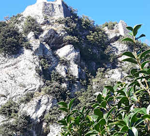 Wandern Nago