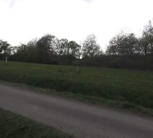 Lehrpfad Bäume des Jahres