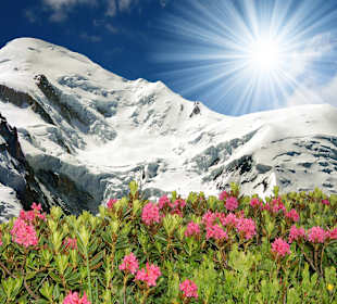 Wandern Chamonix-Mont-Blanc