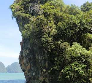 Auf dem Weg zurück zum Schiff