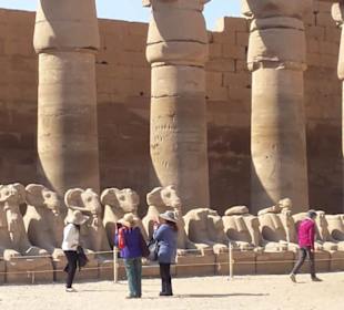 Tagesausflug nach Luxor