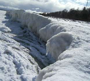 Jeden Tag ein neues Bild der Natur - Winter 2010