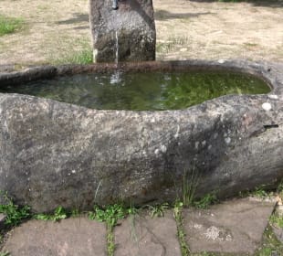 Gänsebrunnen
