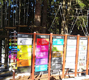 Klettern im Kletterwald