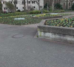 Stadtgarten Stuttgart