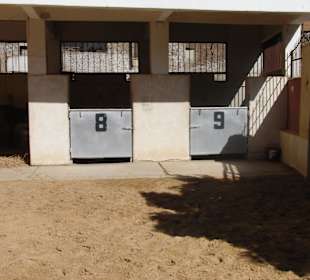 Aussenbox und Auslauf