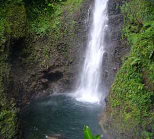Nationalpark Morne Trois Pitons